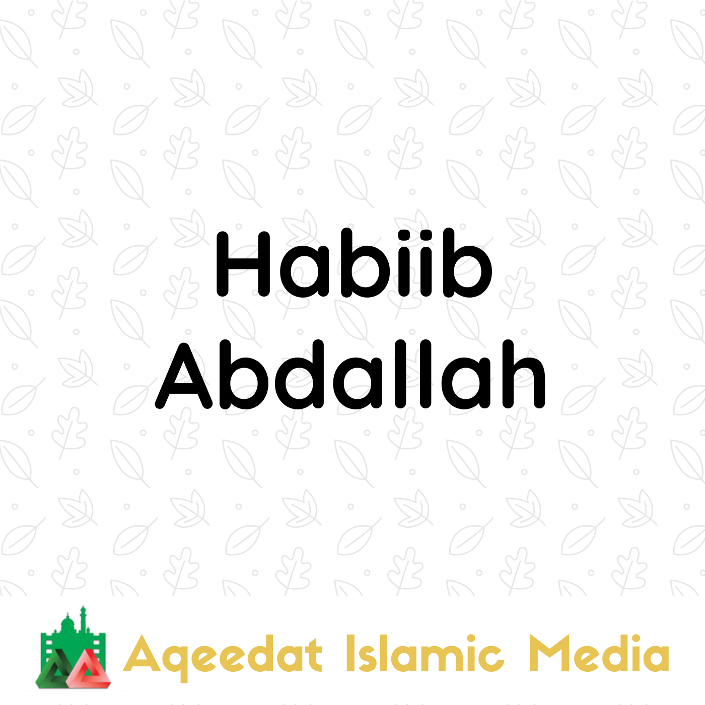  Habiib Abdallah
